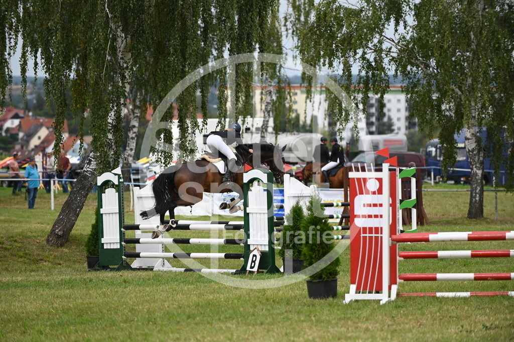 DSC_1812 | sattelsport - Realisiert mit Pictrs.com