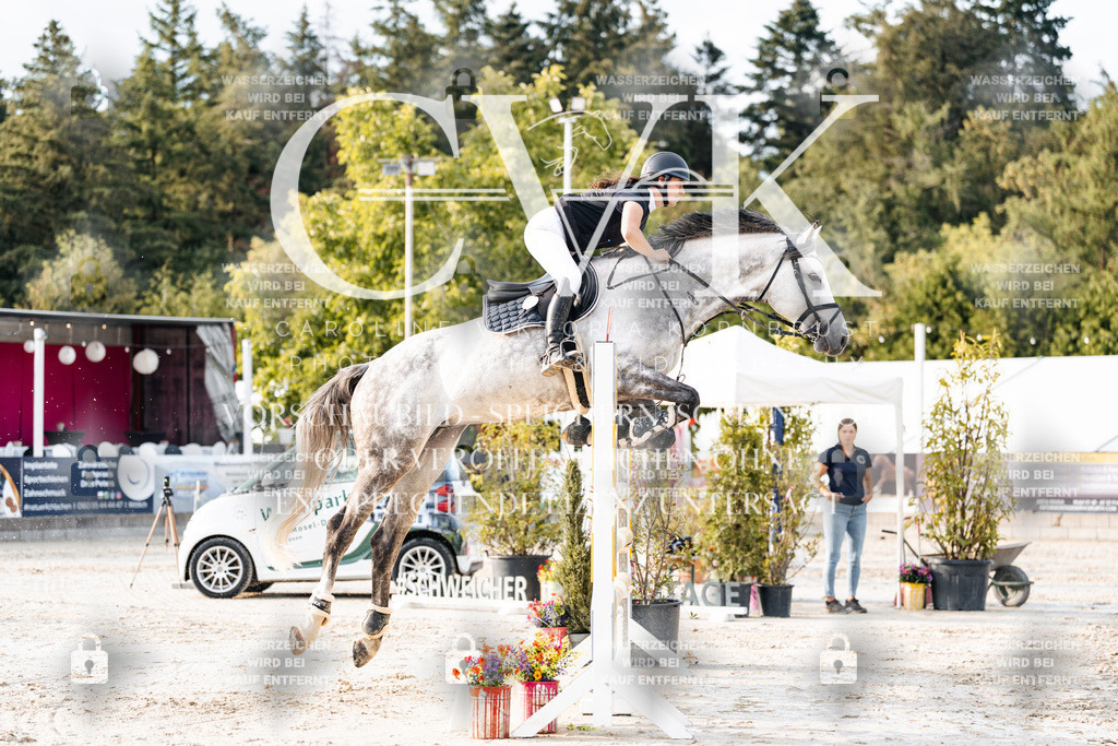 CK903375 | Turnierfotografie Pferdefotografie Trier Rheinland-Pfalz Pferdesport Reitsport Tierfotografie Sportfotografie Pferdevideo Pferdevideografie Equestrianvideography equestrianphotography  - Realisiert mit Pictrs.com