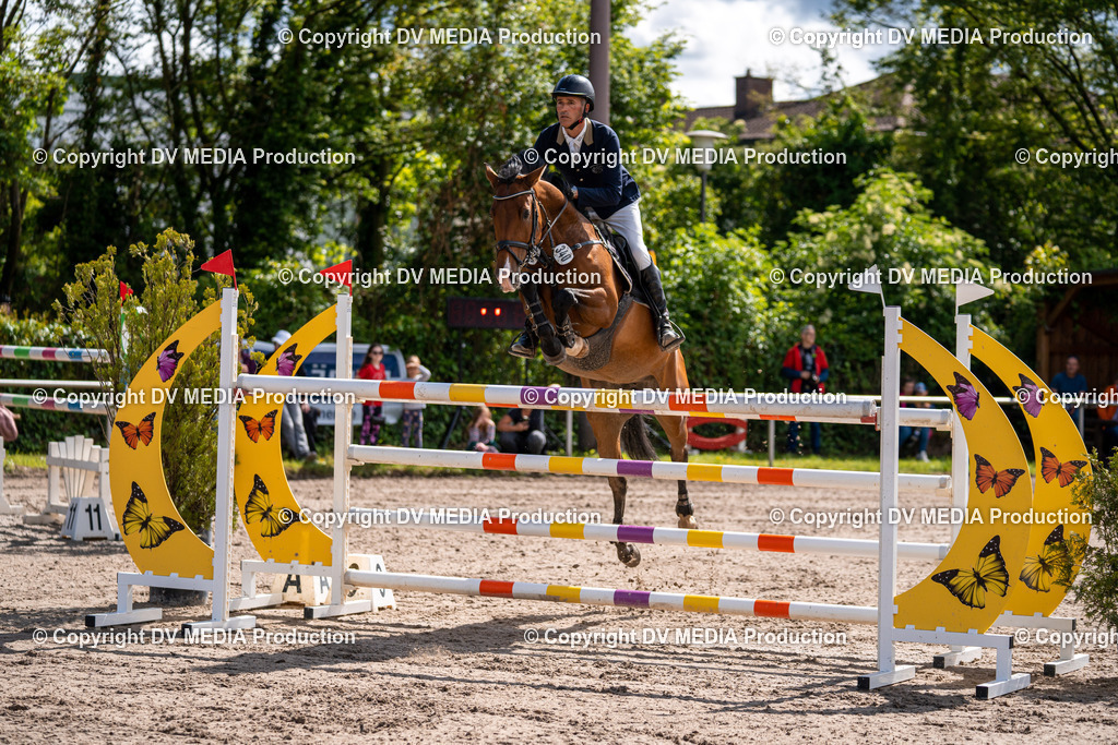 Eppelheim Tag 3-326 | dv-media-shop - Realisiert mit Pictrs.com