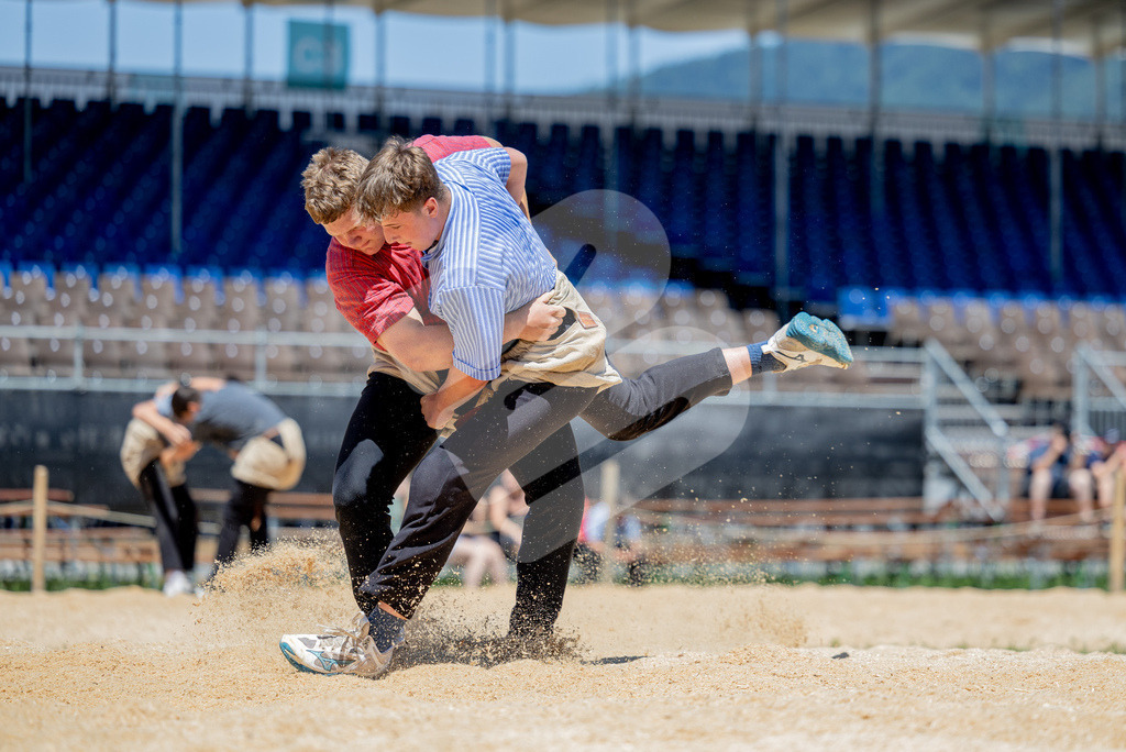 SchwyzerJung2026_00009 | Die Schwinger des Schwyzer Kantonalen Schwingerverbandes: Fotos, die Dynamik und Leidenschaft festhalten, sowie emotionale Momente aus dem traditionellen Schwingsport zeigen. - Realisiert mit Pictrs.com