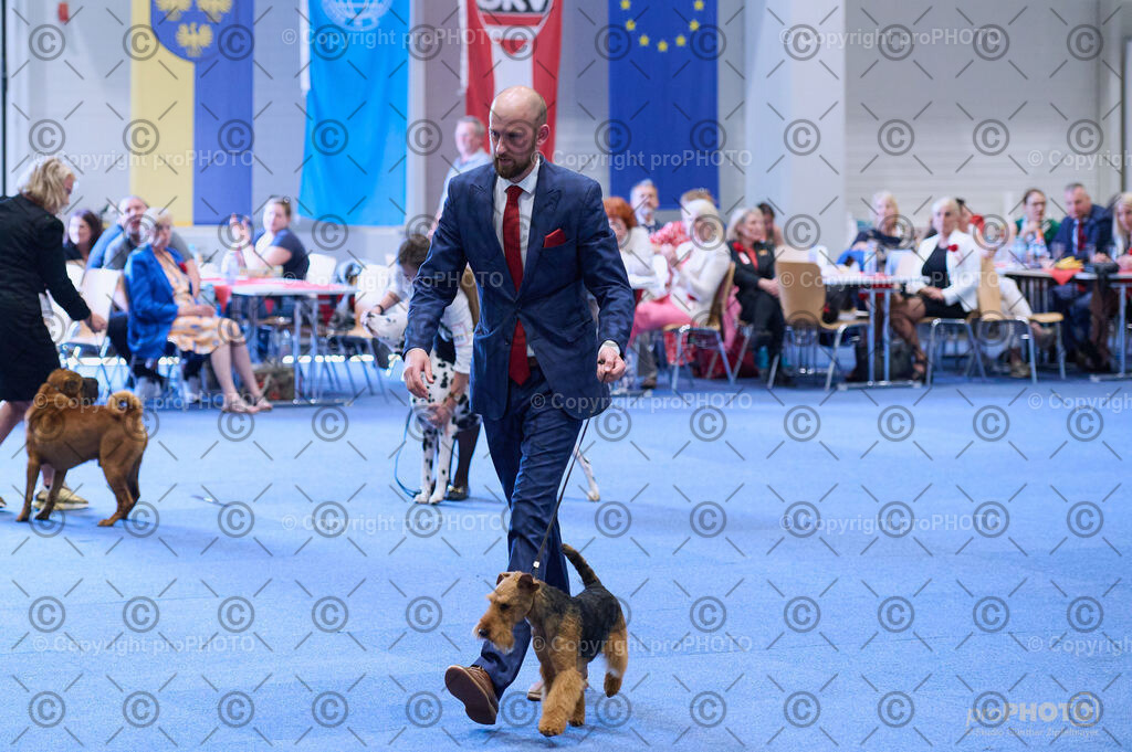 202406_ÖKV-IHA-Tulln24_DSC_4419 | proPHOTO - Realisiert mit Pictrs.com