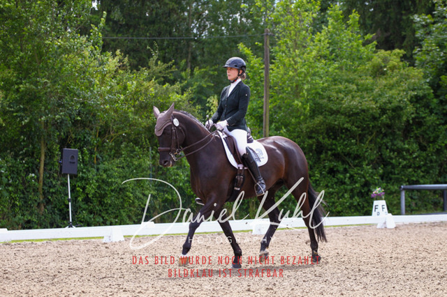 DKP41245 | Turnierfotos kaufen im Webshop von Daniel Kuhl Photography – entdecke professionelle Reitsportfotos aus Turnieren & Events. Hochwertige Turnierbilder online bestellen & sichern. Jetzt Fotos von Reitsportturnieren kaufen!