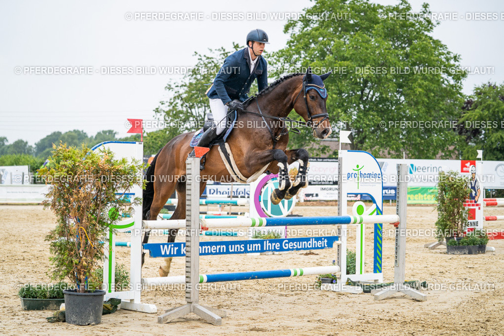 DSC00791 | Pferdegrafie