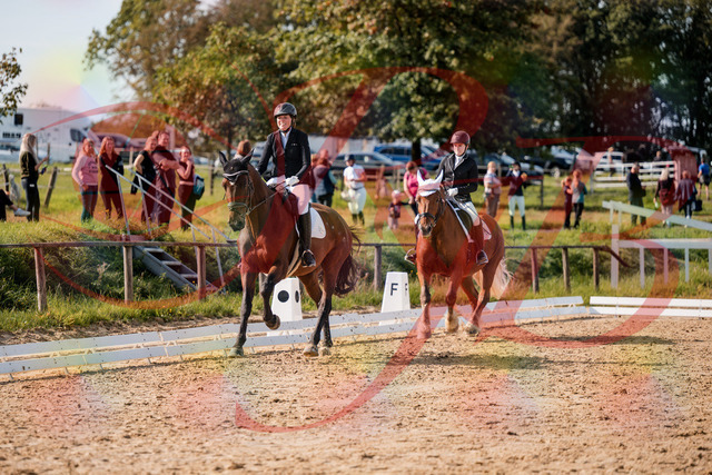 2026_10_03_Siefer-Hof_130344_Z63_66118811 | Professionelle Reitsport-, Turnier- und Eventfotografie von Robert Broda. Galerien mit ausgewählten und bearbeiteten Bildern direkt online ansehen und bestellen.