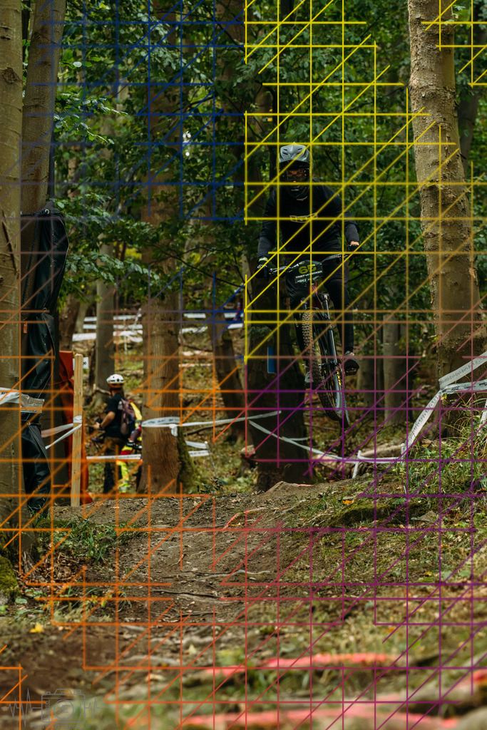 PAE-0254 | Einzigartige Fotokunst für dein Zuhause: Entdecke hochwertige Wandbilder, edle Prints und emotionale Motive von Wildlife, Natur und Landschaften - Realisiert mit Pictrs.com