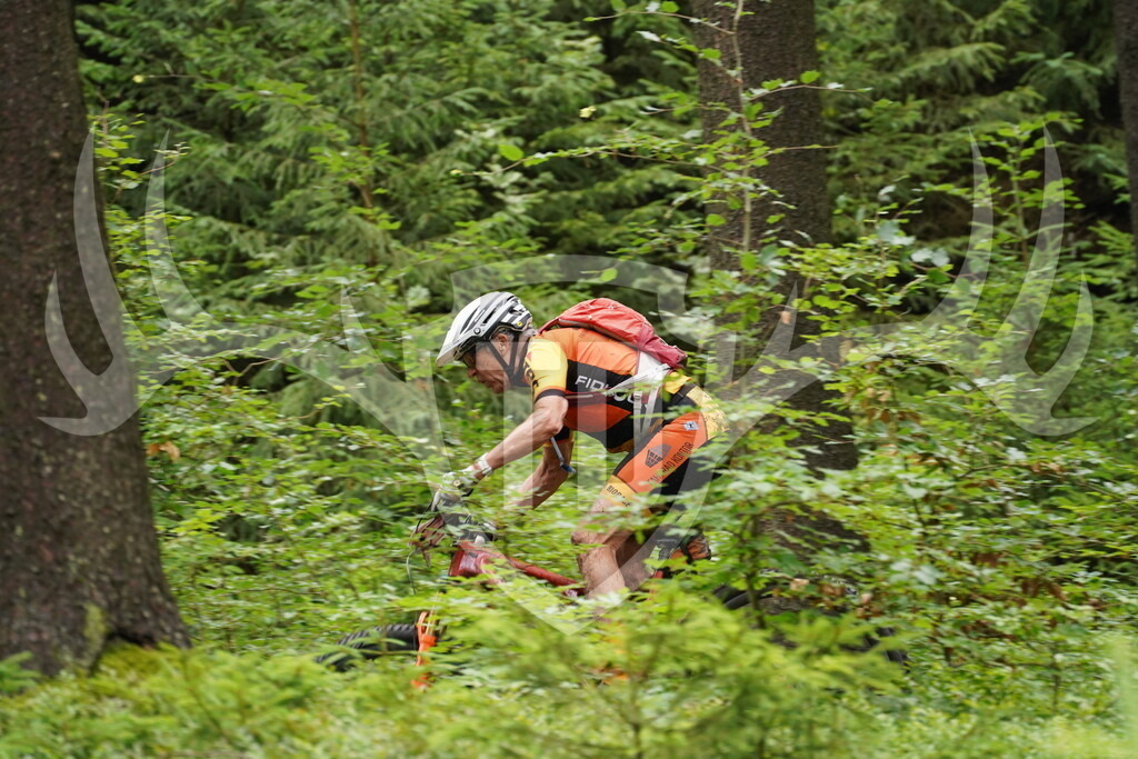 DSC04450 | Fotogalerie der Treibjagd im Dunkelwald - Dein MTB Etappenrennen im Erzgebirge - Realisiert mit Pictrs.com