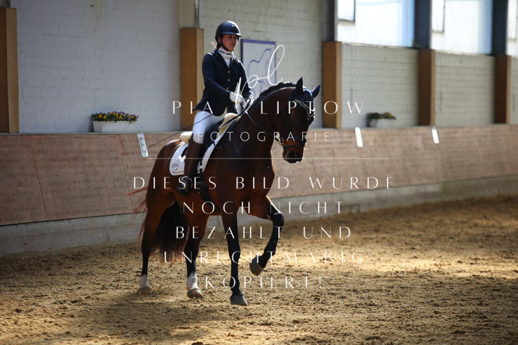 IMGT6429 | pl-fotografie