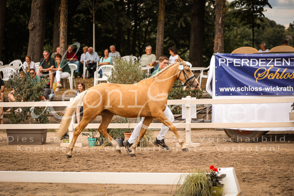 08.So00014 | Leoni Ertmer Photography - Realisiert mit Pictrs.com