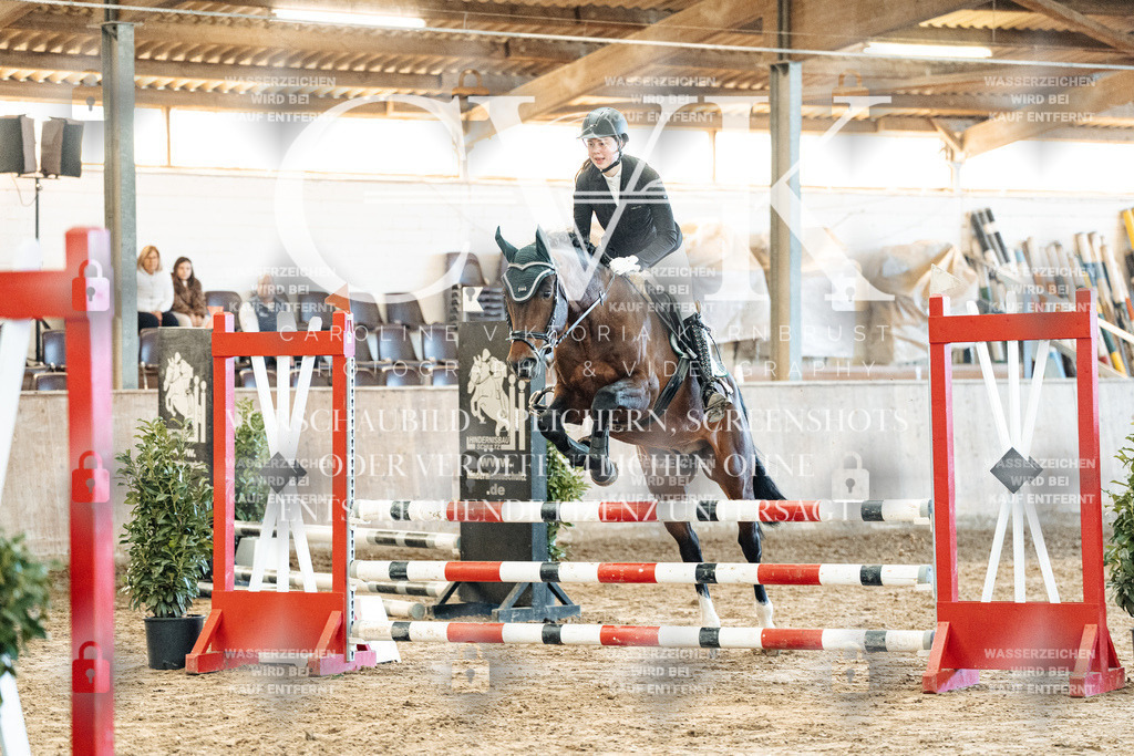 CK904303 | Turnierfotografie Pferdefotografie Trier Rheinland-Pfalz Pferdesport Reitsport Tierfotografie Sportfotografie Pferdevideo Pferdevideografie Equestrianvideography equestrianphotography  - Realisiert mit Pictrs.com