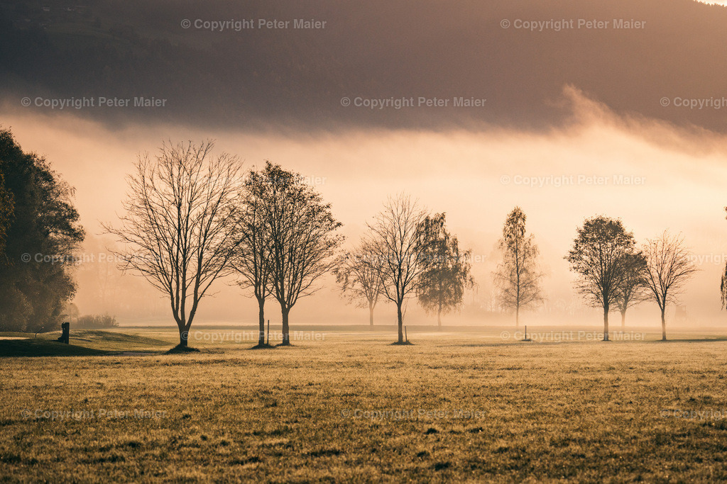 Lavant_Herbst_2023-13 | piet_flosse