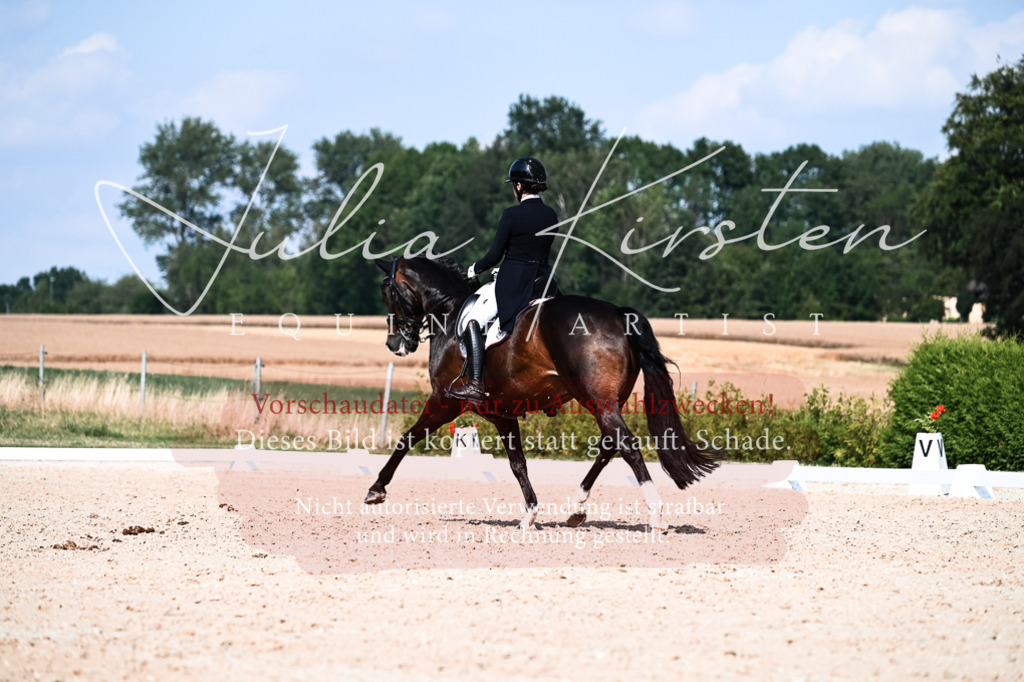 DSC_3359 | Pferde- und Turnierfotografie in Westsachsen. Pferdeportraits, Auftragszeichnungen und intuitive Kunst.