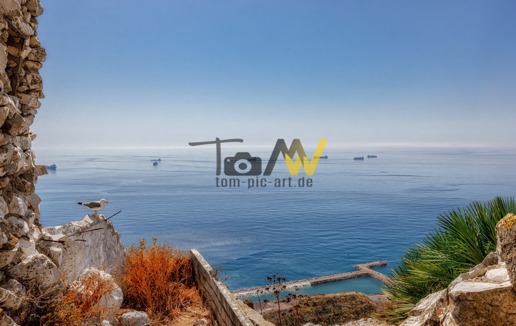 Ausblick auf das blau Meer und die Schiff vom Rock of Gibraltar | Das Bild zeigt einen malerischen Meerblick, der durch eine Steinruine eingerahmt wird.In der Ferne sind mehrere Schiffe auf dem blauen Meer sichtbar.Im Vordergrund links sitzt eine Möwe auf einem Felsvorsprung.Unten rechts ist ein kleiner, künstlicher Hafen oder eine Badebucht zu erkennen. - Realisiert mit Pictrs.com