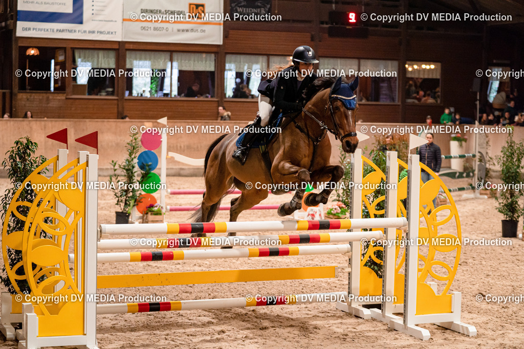 Springen Tag 2-615 | dv-media-shop - Realisiert mit Pictrs.com