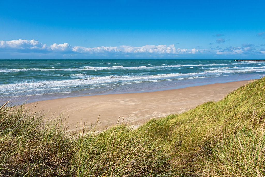Düne und Strand bei Hirtshals in Dänemark | Düne und Strand bei Hirtshals in Dänemark.