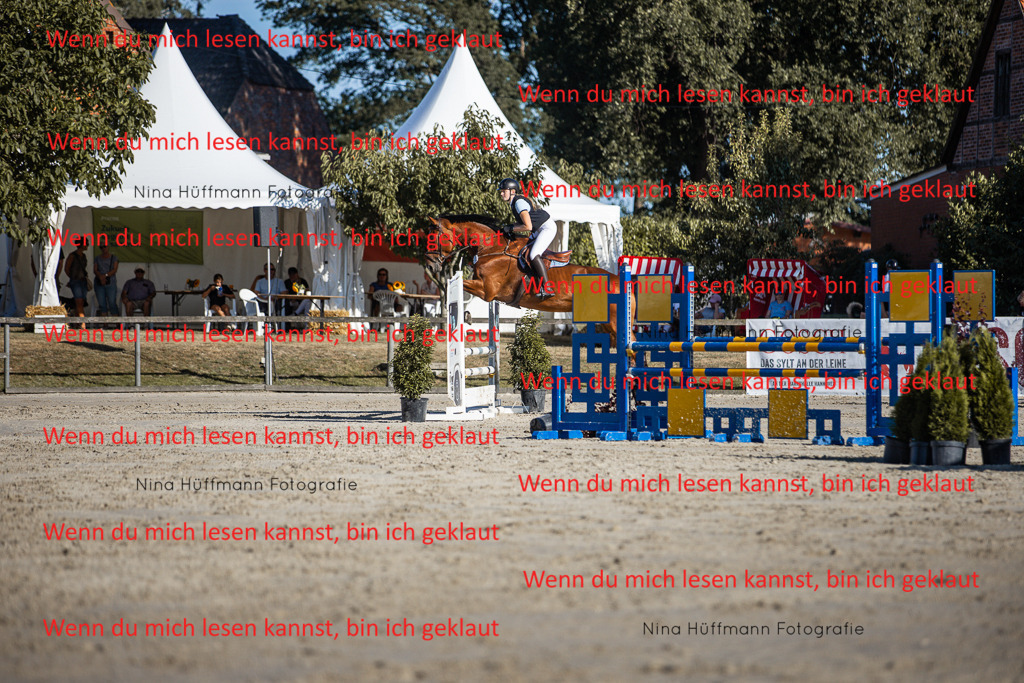 BK1A7595 | Turnierbilder Turnierfotos Nina Hüffmann Turnierfotografie Pferdefotografie Tierzeichnung Haustierzeichnung Pferdezeichnung Hundezeichnung Videograf  - Realisiert mit Pictrs.com