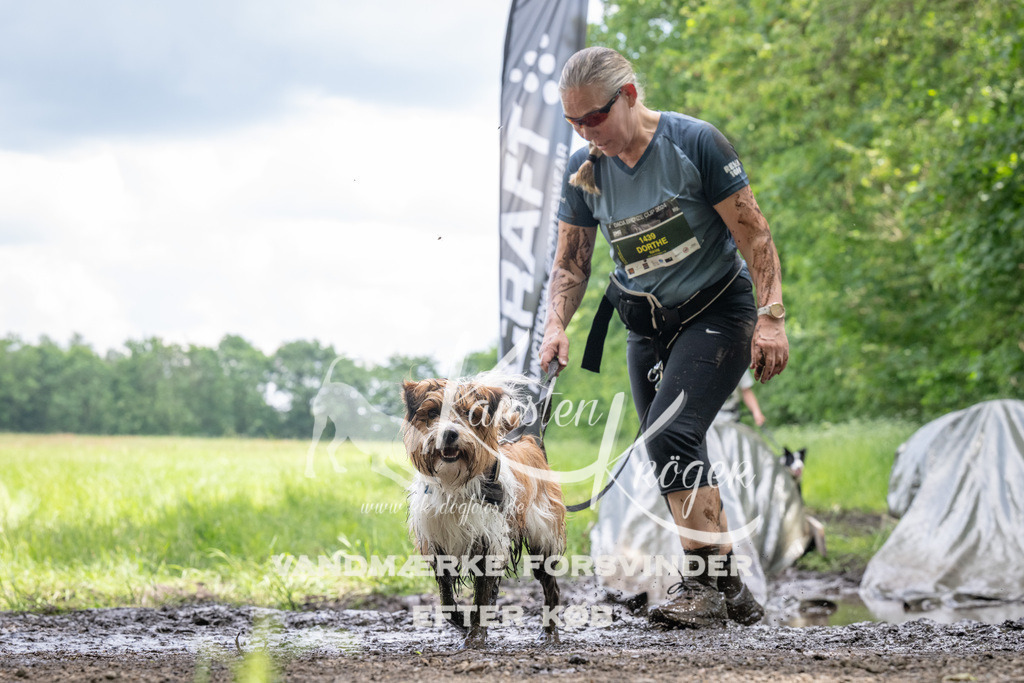 1254_ZZ94167 | kk-dogfotos