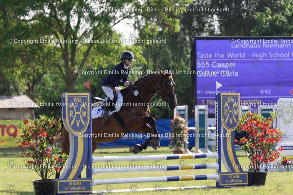 CL5A0527 | Emilia Reinking Fotografie - Realisiert mit Pictrs.com