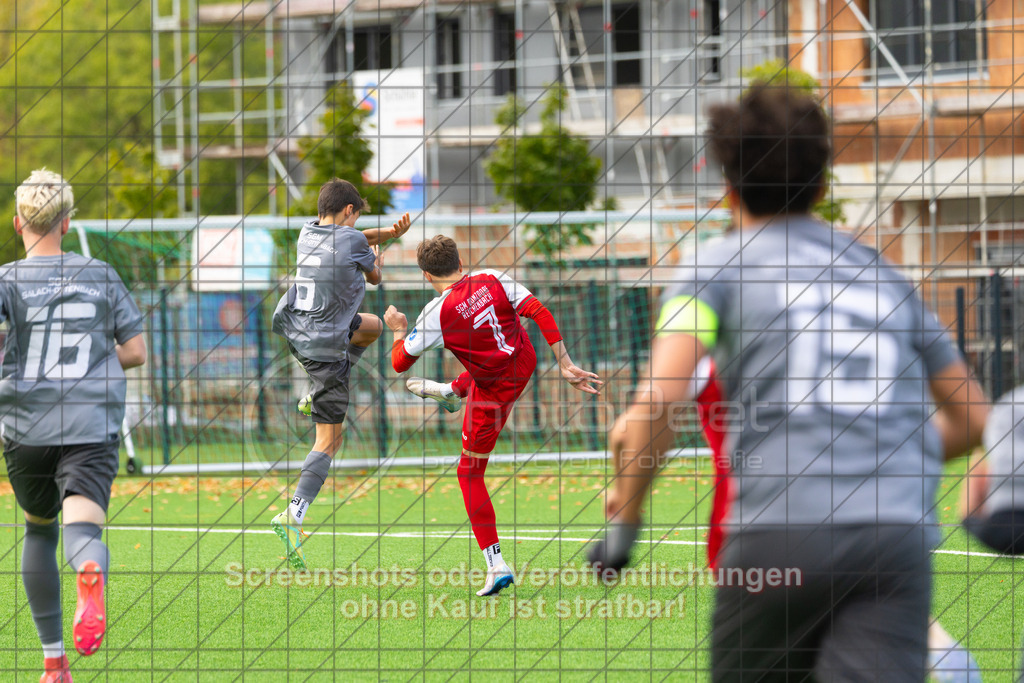 20261010_150541_0403_(c)_by_PhotoPeet | Photo Peet