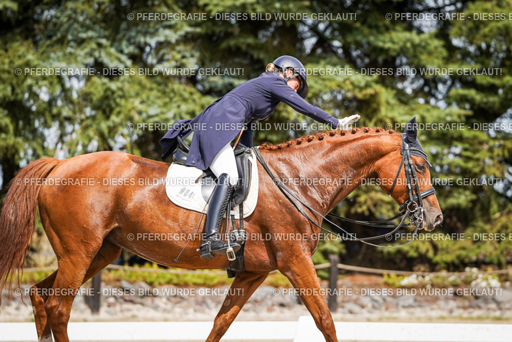 DSC06391 | Pferdegrafie