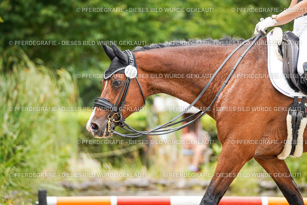 DSC06050 | Pferdegrafie