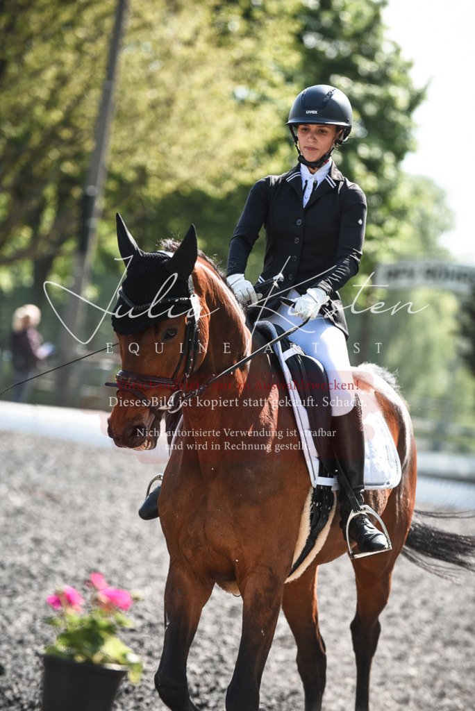 DSC_8927 | Pferde- und Turnierfotografie in Westsachsen. Pferdeportraits, Auftragszeichnungen und intuitive Kunst.