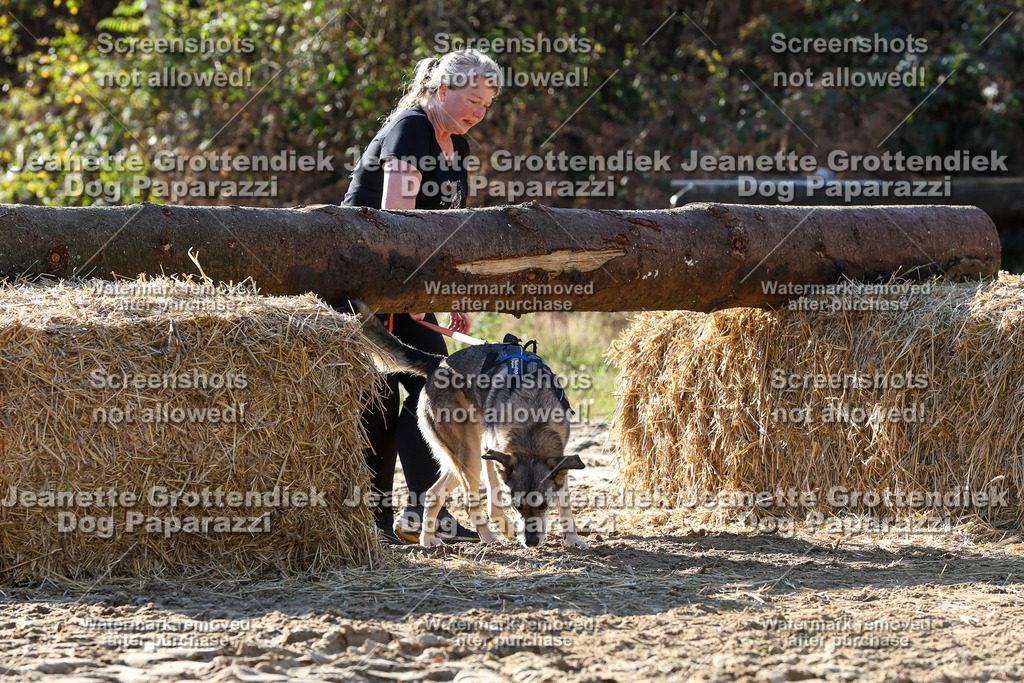 Dog Paparazzi - Strongdog 10-25-6048 | Dog Paparazzi Jeanette Grottendiek Fotografie & Videografie - Realisiert mit Pictrs.com