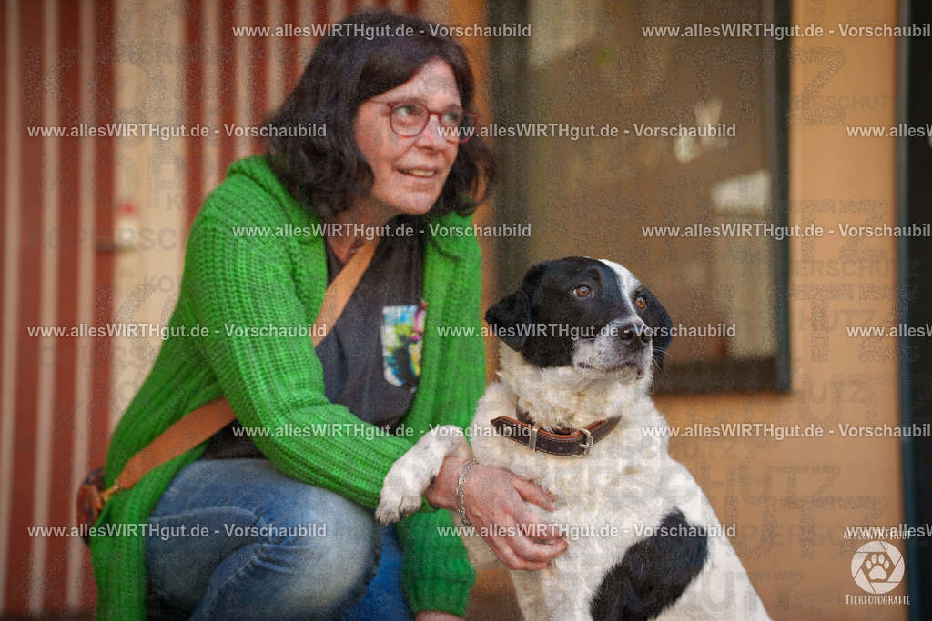 Pfötchenmarkt Nettetal-Lobberich 2026 - Nettetal-Tag - Daniel Wirth - www.allesWIRTHgut.de - @allesWIRTHgut_Tierfotografie 7R508517 | Professionelle Tierfotografie in Mönchengladbach von Daniel Wirth (allesWIRTHgut). Liebevolle & natürliche Bilder von Hunden & Katzen für unvergessliche Erinnerungen.