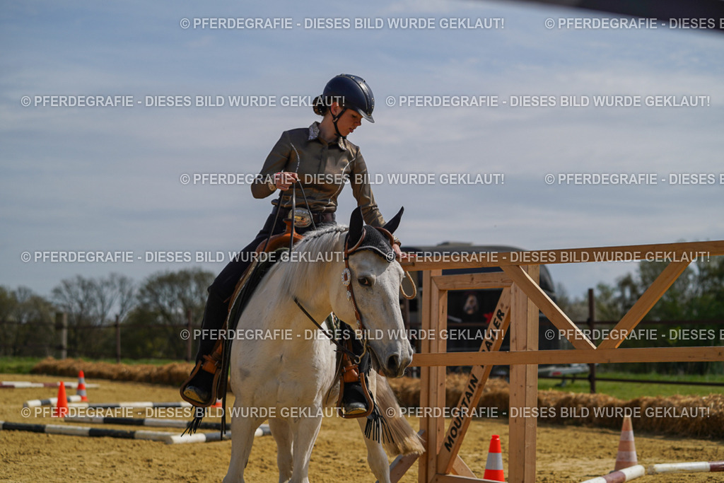 DSC04690 | Pferdegrafie