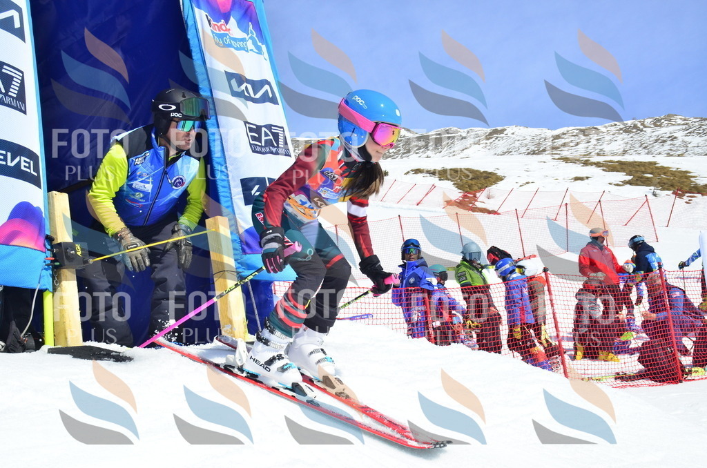 _ELE1002 | holidayphoto