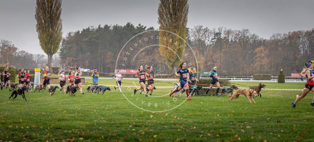 CaniXpix_DV3A8777 | Hundefotografie, Tierfotograf, Pfotenfotografie, Fotoshooting Hund, Hunde Portrait, Hundesport, Hundeportraits, Heideshooting, Hunde, Sportfotograf, Hundefotograf, Turnierhundsport, THS,  - Realisiert mit Pictrs.com