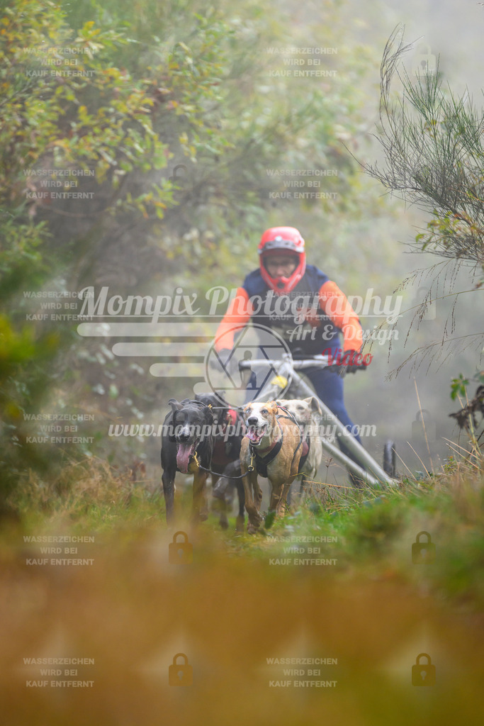 MompixPhotography_20TSB_E4_Kart-1 | PayLife