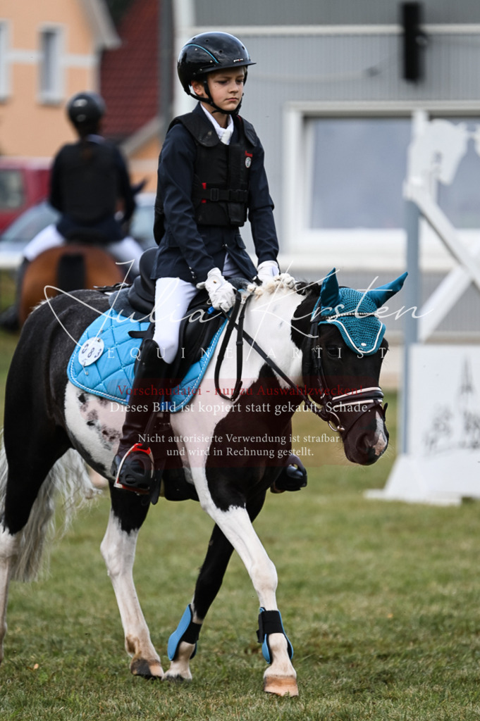 DSC_5486 | Pferde- und Turnierfotografie in Westsachsen. Pferdeportraits, Auftragszeichnungen und intuitive Kunst.
