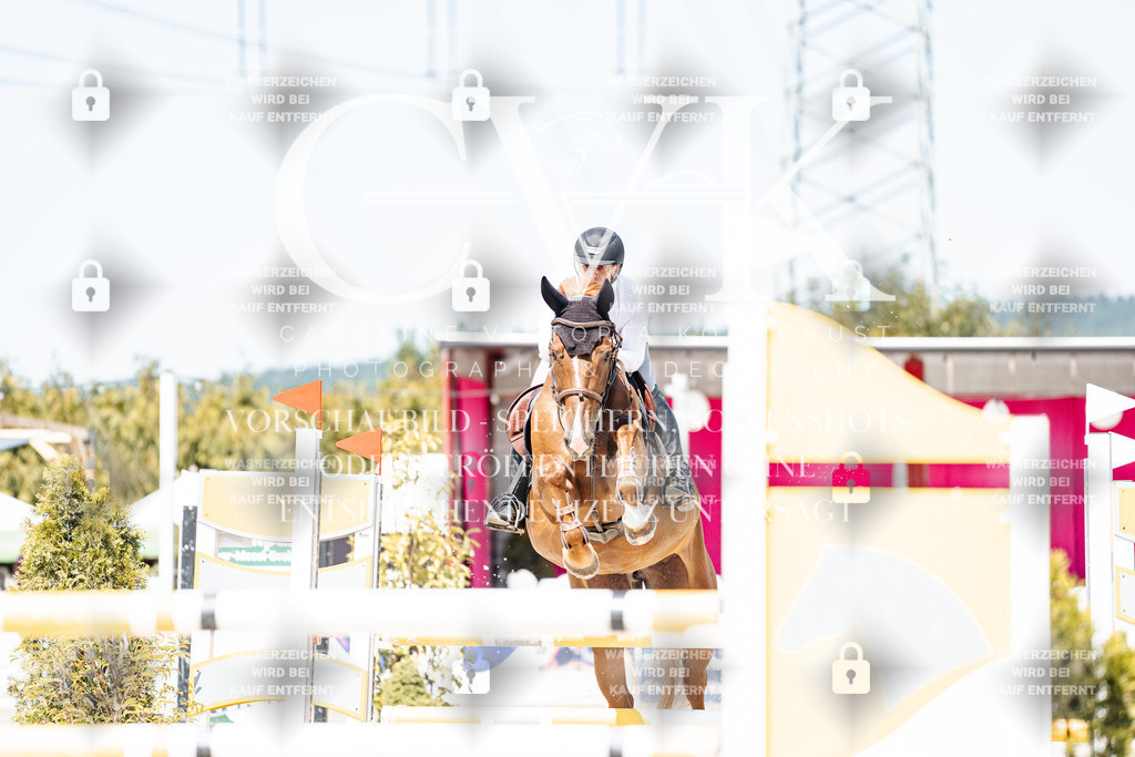 CK909517 | Turnierfotografie Pferdefotografie Trier Rheinland-Pfalz Pferdesport Reitsport Tierfotografie Sportfotografie Pferdevideo Pferdevideografie Equestrianvideography equestrianphotography  - Realisiert mit Pictrs.com