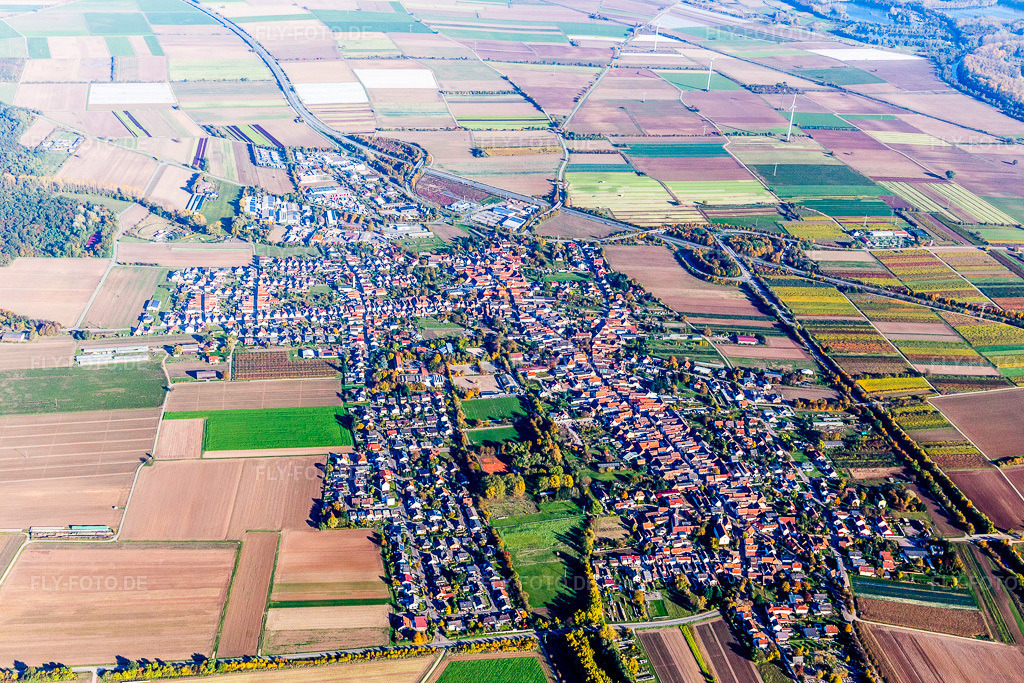 Luftbild: Ortsansicht der Straßen und Häuser der Wohngebiete in Schwegenheim im Bundesland Rheinland-Pfalz in Deutschland. Foto: IMG_095367.jpg vom 30.10.2016 durch Werner Riehm/FLY-FOTO.de