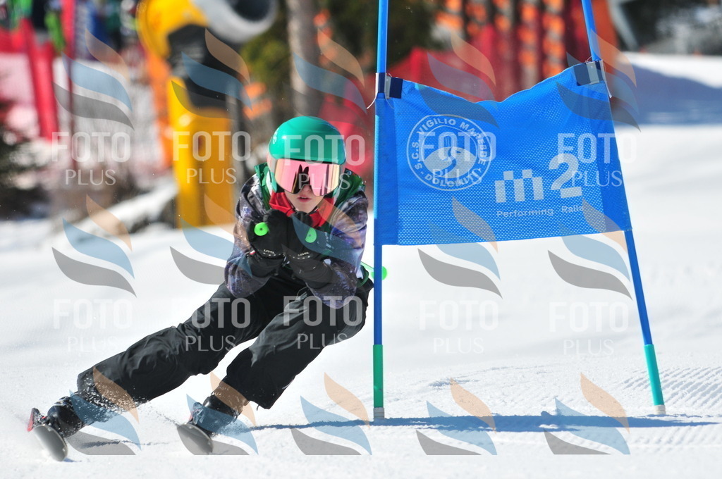 C4212 | holidayphoto