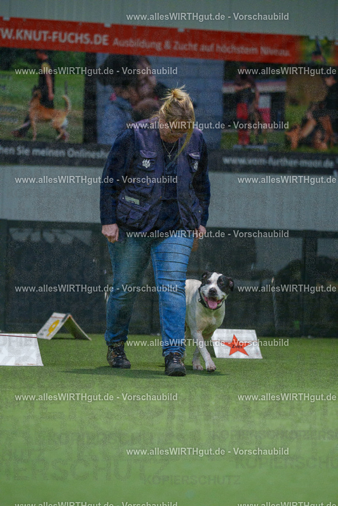 7R507790 | Professionelle Tierfotografie in Mönchengladbach von Daniel Wirth (allesWIRTHgut). Liebevolle & natürliche Bilder von Hunden & Katzen für unvergessliche Erinnerungen.
