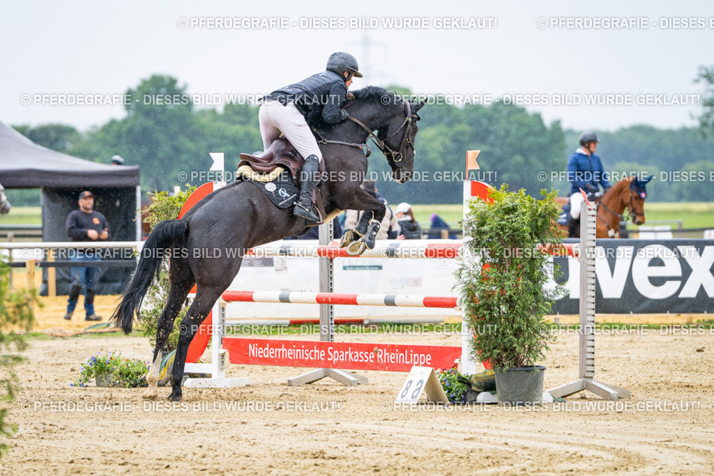 DSC07979 | Pferdegrafie