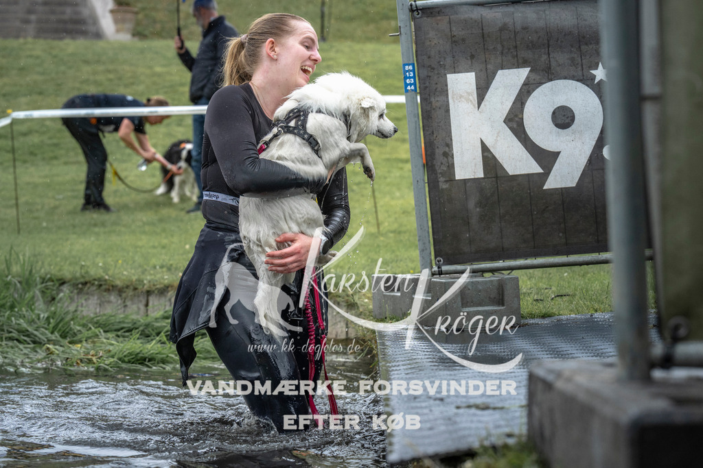 1526_ZZ94915 | kk-dogfotos