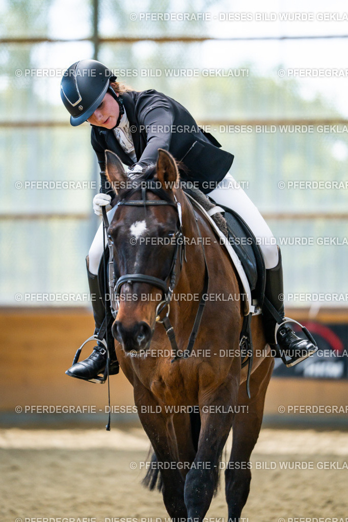 DSC05756 | Pferdegrafie