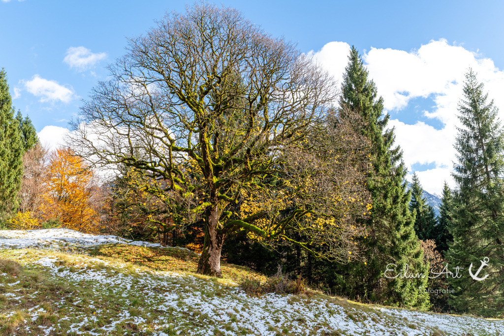 20251024-EAF_6467 | Eilun-Art-Fotografie Levke Martens, ihre Fotografin für Immobilien- und Landschaftsfotografie auf Föhr, Föhrer Motive als Poster, Leinwand, hinter Acrylglas oder stelle dir deinen eigenen Monatskalender zusammen, mit nur einem Klick