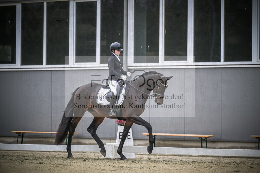 DOS_0869 | Entdecke hochwertige Reitturnierfotos von Foto Oger. Professionell, emotional und authentisch – jetzt Lieblingsmomente im Shop bestellen.Deutschlandweite Turnierfotografie. - Realisiert mit Pictrs.com