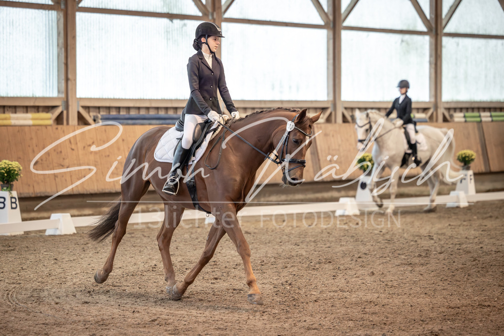 20251011-_3LI5784 | Tierfotografie Pferde, Hunde, Katzen, Haustiere.
Turnierfotografie Reitturniere, Reiten, Springreiten, Dressur in Hanau, dem Main-Kinzig-Kreis und dem Rhein-Main- Gebiet um Frankfurt