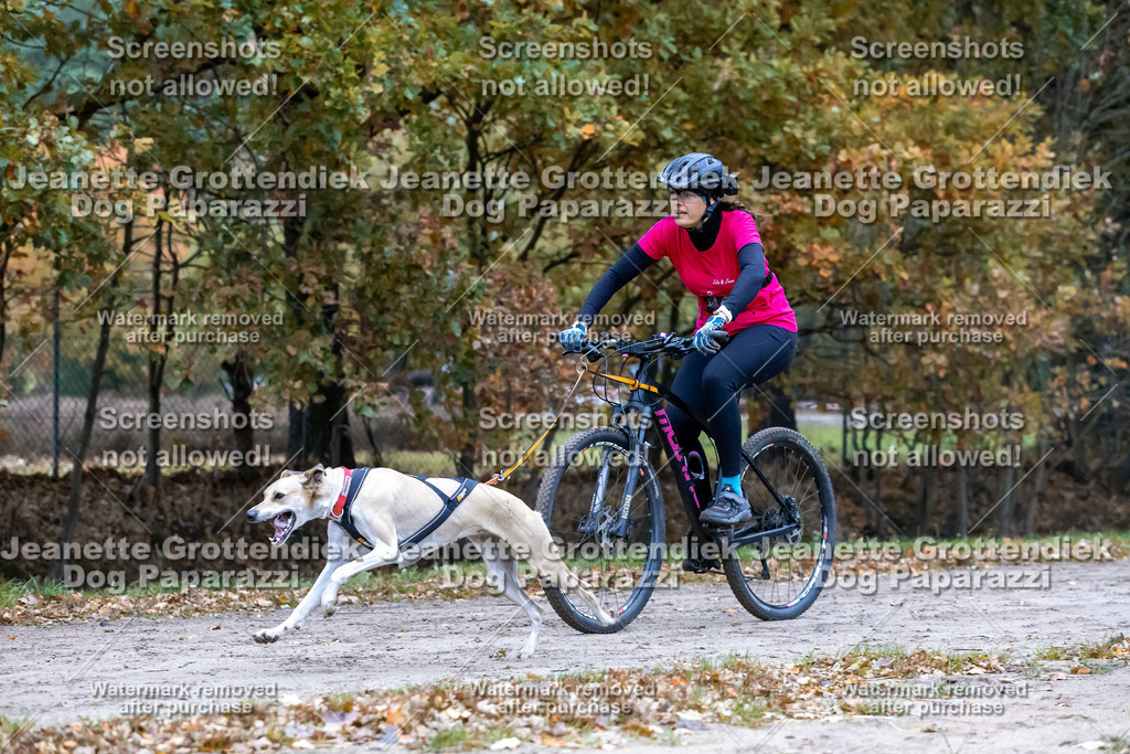 Dog Paparazzi - SD CaniX Championship 2025-255 | Dog Paparazzi Jeanette Grottendiek Fotografie & Videografie - Realisiert mit Pictrs.com