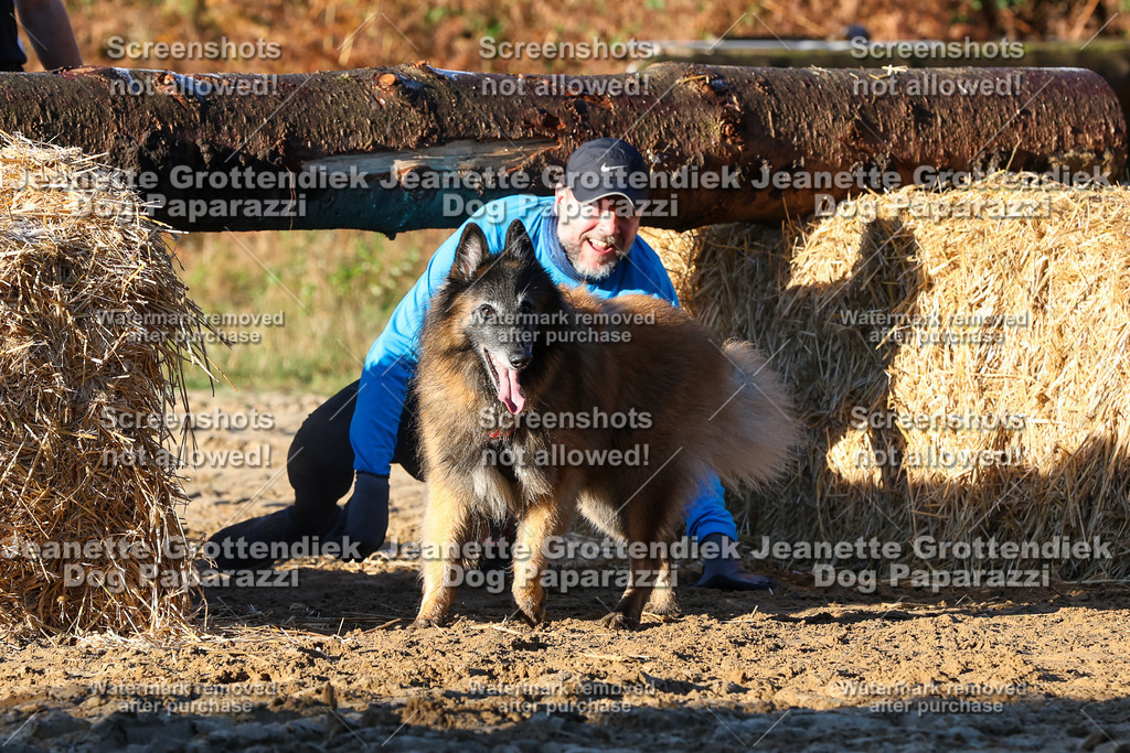 Dog Paparazzi - Strongdog 10-25-986 | Dog Paparazzi Jeanette Grottendiek Fotografie & Videografie - Realisiert mit Pictrs.com