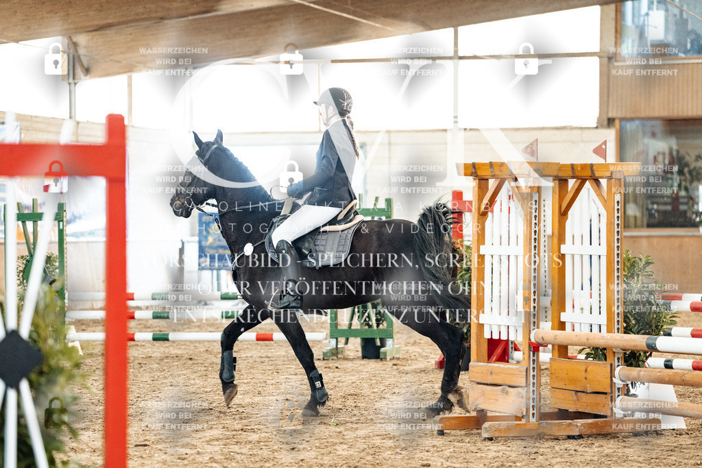 CK903834 | Turnierfotografie Pferdefotografie Trier Rheinland-Pfalz Pferdesport Reitsport Tierfotografie Sportfotografie Pferdevideo Pferdevideografie Equestrianvideography equestrianphotography  - Realisiert mit Pictrs.com