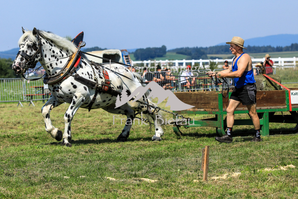 OE7A5741 | Medien- Sport- Entertainmentfotos