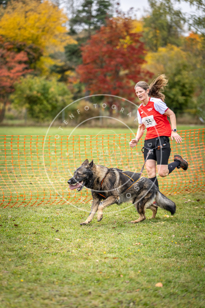 Pfotenfotografie_DV3A2221 | Hundefotografie, Tierfotograf, Pfotenfotografie, Fotoshooting Hund, Hunde Portrait, Hundesport, Hundeportraits, Heideshooting, Hunde, Sportfotograf, Hundefotograf, Turnierhundsport, THS,  - Realisiert mit Pictrs.com