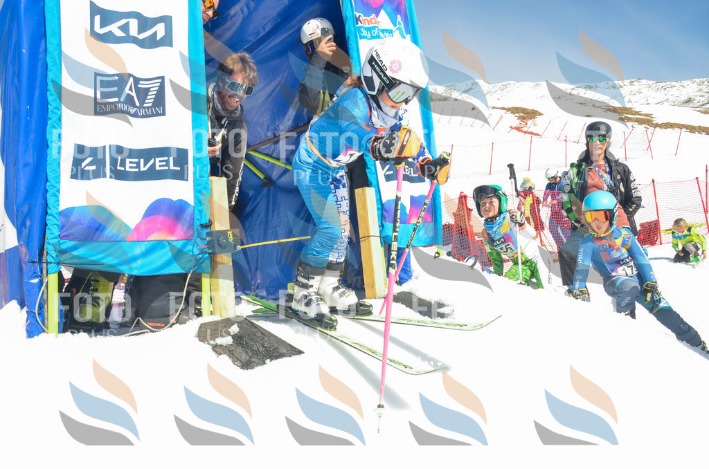 _ELE6067 | holidayphoto