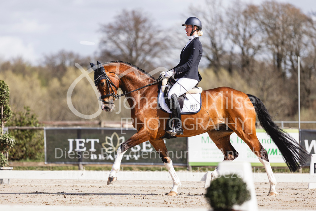 260331_Fruehlingsfest_Dressurpf-L-224 | Deine schönsten Turniermomente als professionelle Fotos! Entdecke hochwertige Pferdesport-Fotografie im Online-Shop. Jetzt Fotos finden & bestellen!