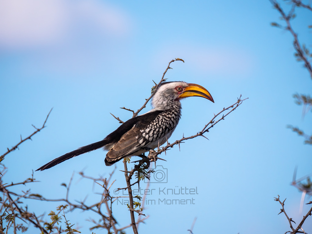 PANA1277-Bearbeitet-2017-LR | Natur im Moment - Realisiert mit Pictrs.com